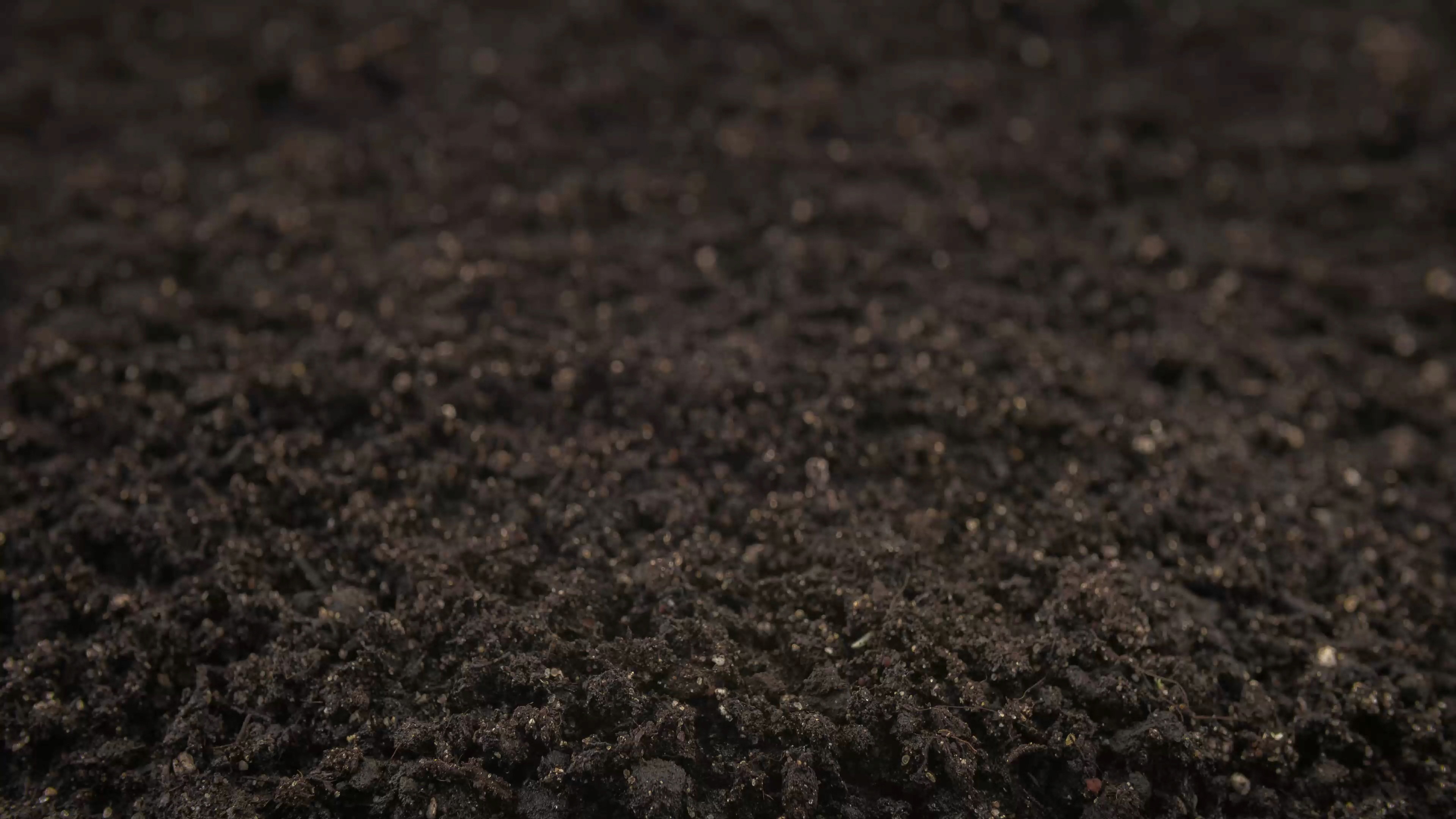 Nouem MarTech Farmers